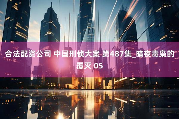 合法配资公司 中国刑侦大案 第487集_暗夜毒枭的覆灭 05