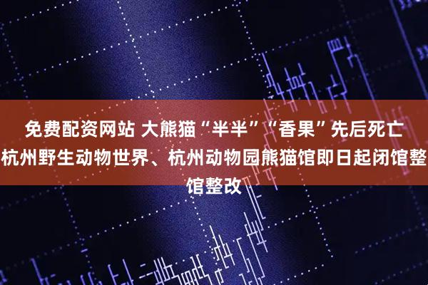 免费配资网站 大熊猫“半半”“香果”先后死亡，杭州野生动物世界、杭州动物园熊猫馆即日起闭馆整改